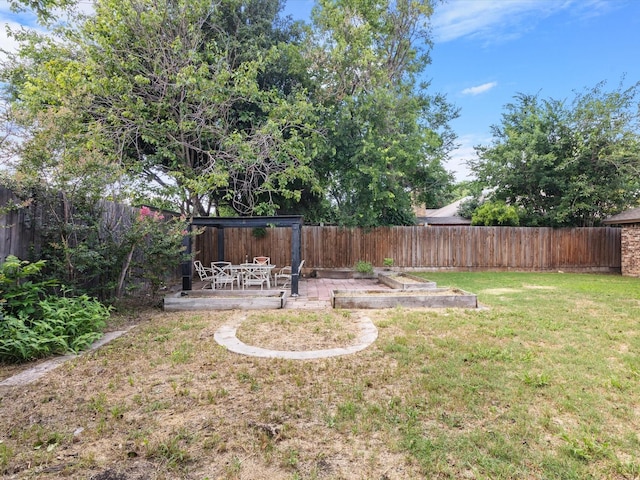 view of yard featuring a patio area