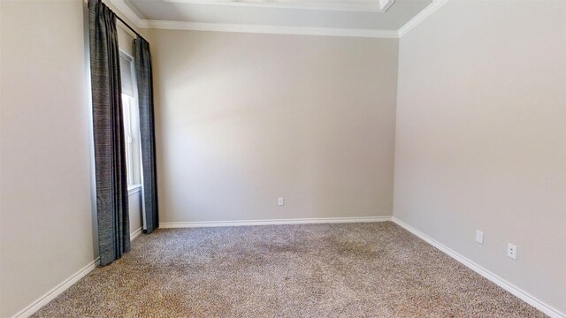 spare room featuring carpet floors and crown molding