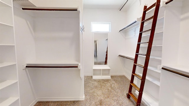 walk in closet featuring carpet flooring