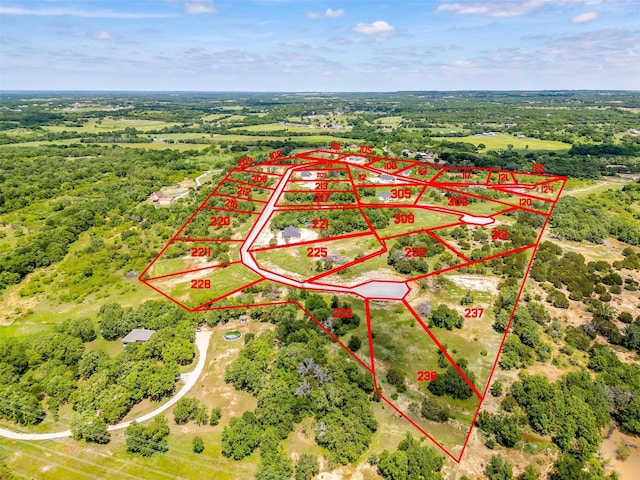 312 Rickys Rd, Peaster TX, 76086 land for sale