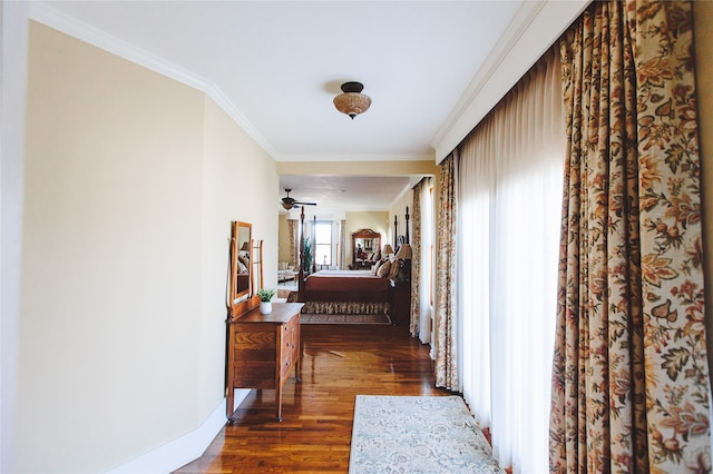 hallway featuring crown molding and dark wood-type flooring