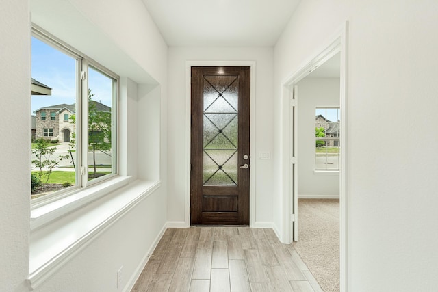 foyer entrance with light hardwood / wood-style flooring