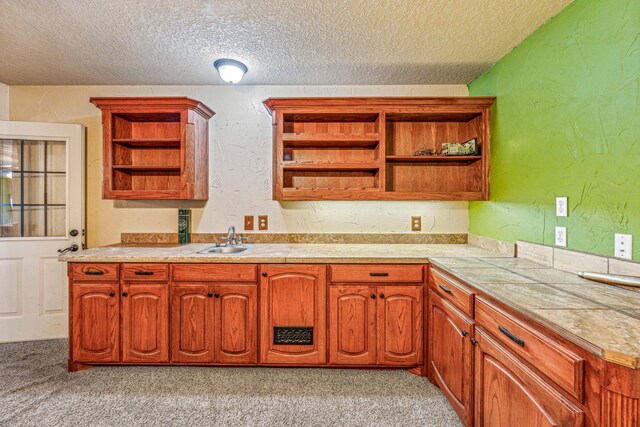 kitchen featuring sink, light carpet, and a textured ceiling