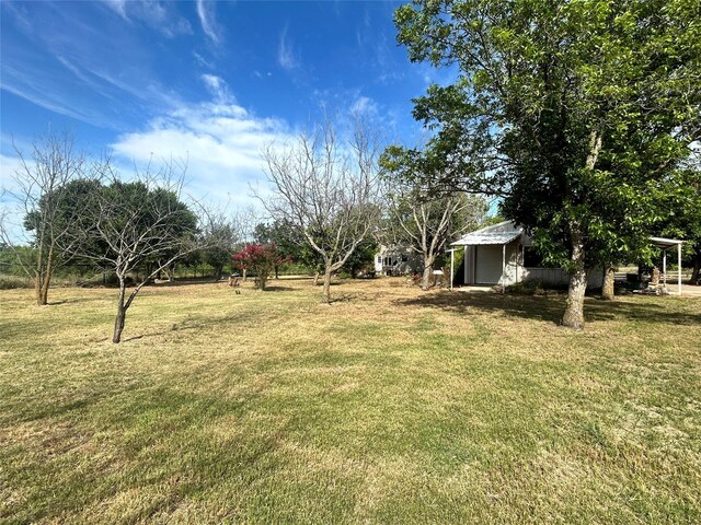 view of yard with a shed