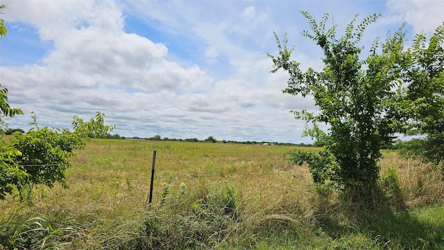 Listing photo 3 for TBD Highway 82, Ector TX 75439