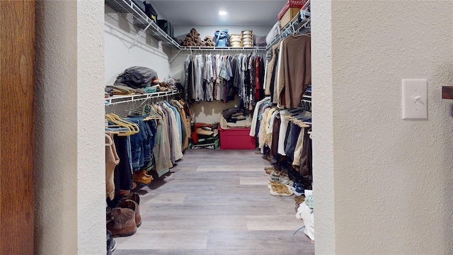 spacious closet featuring wood-type flooring