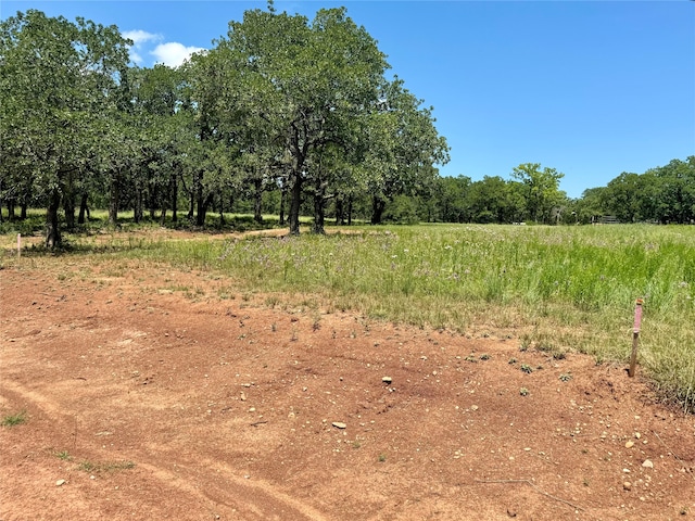 view of landscape featuring a rural view