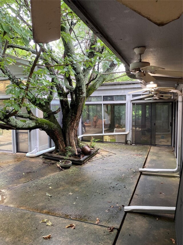 view of patio / terrace with a ceiling fan and a sunroom