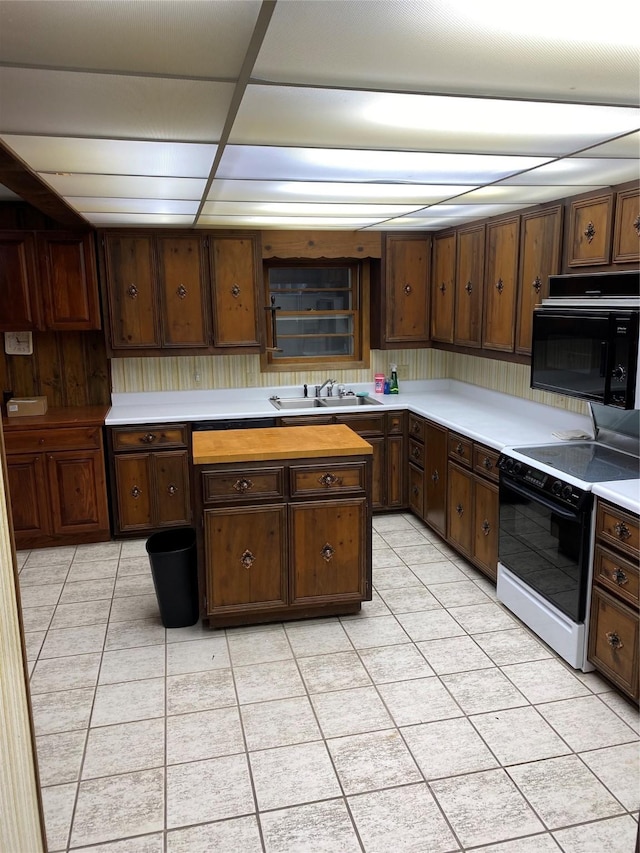 kitchen featuring a sink, electric range, and black microwave