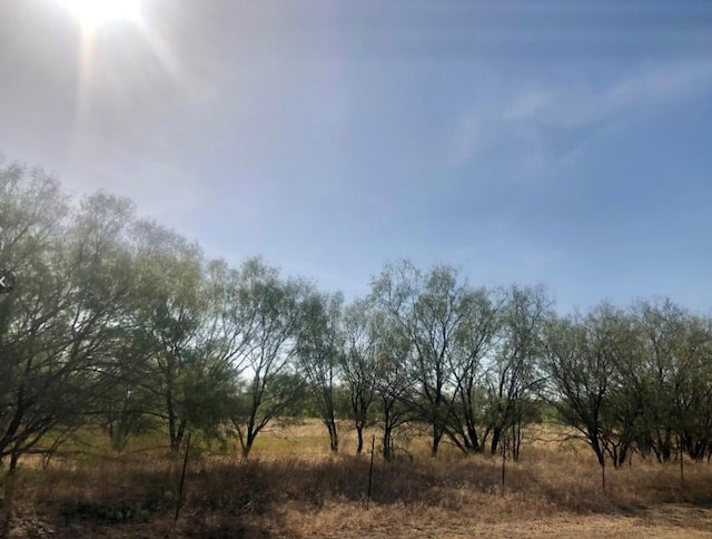 TBD Fm 266, Gustine TX, 76455 land for sale