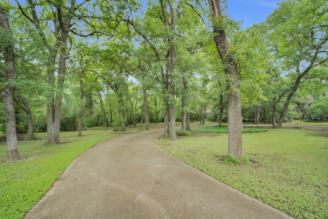 view of property's community with a yard