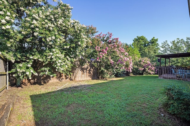 view of yard