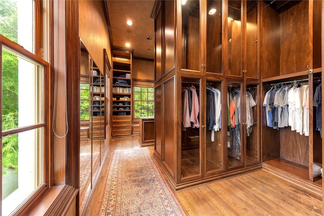 walk in closet with light hardwood / wood-style flooring