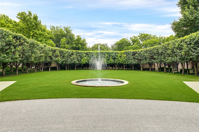 view of property's community with a lawn