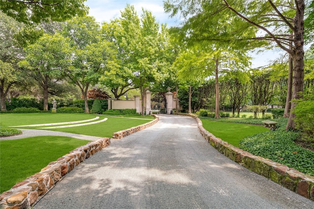 exterior space with a lawn