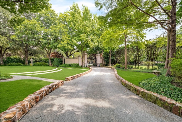 view of property's community featuring a yard