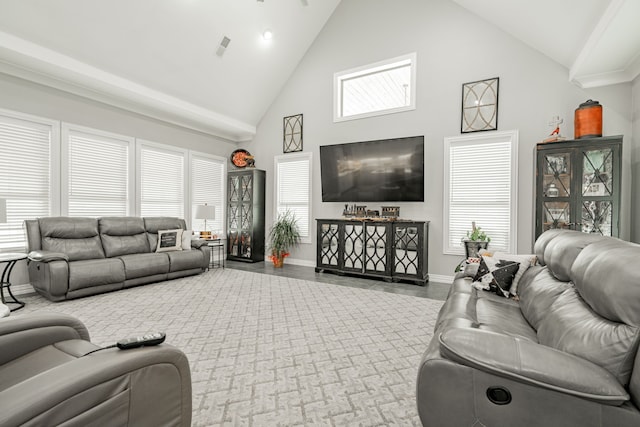 living room with high vaulted ceiling and a wealth of natural light