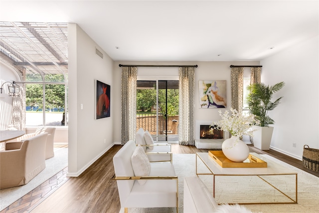 living room with wood-type flooring