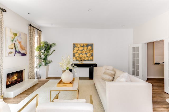 living room featuring light hardwood / wood-style floors