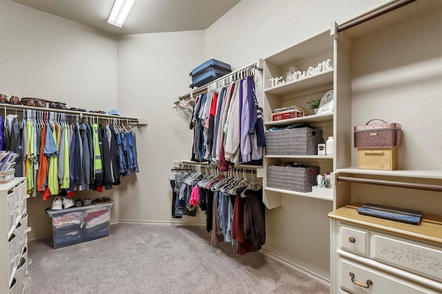 spacious closet with carpet