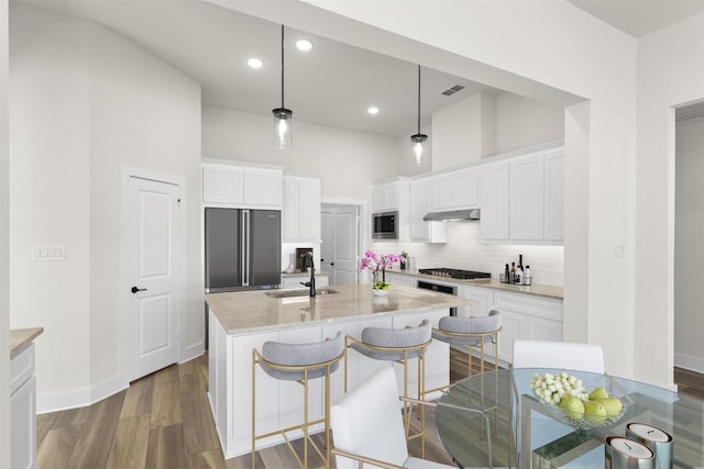 kitchen with tasteful backsplash, a sink, under cabinet range hood, stainless steel appliances, and dark wood-style flooring