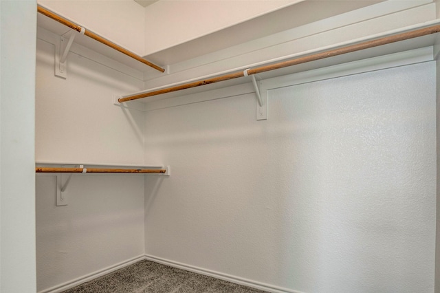 spacious closet featuring carpet flooring