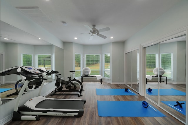 exercise area featuring hardwood / wood-style floors, ceiling fan, and a wealth of natural light