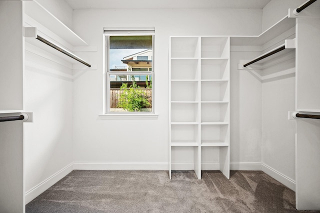 spacious closet featuring carpet flooring