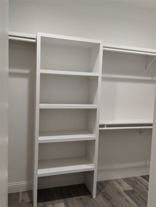 spacious closet featuring dark hardwood / wood-style floors