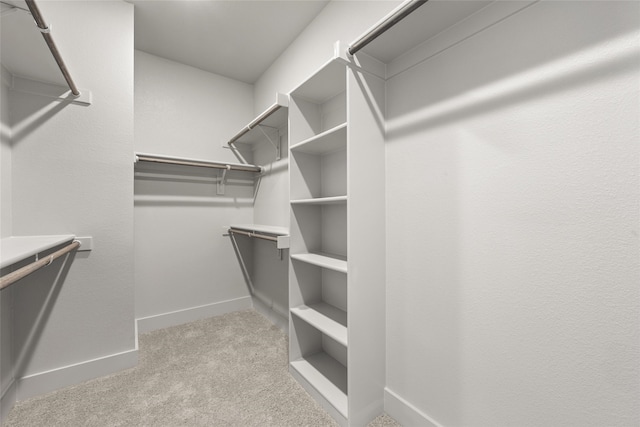 spacious closet featuring light colored carpet