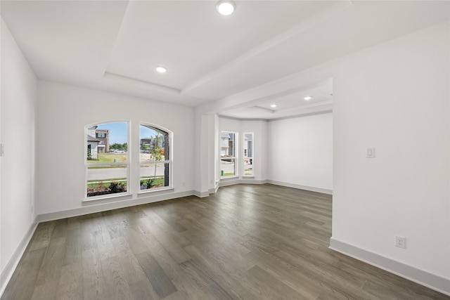 spare room with a tray ceiling and wood-type flooring