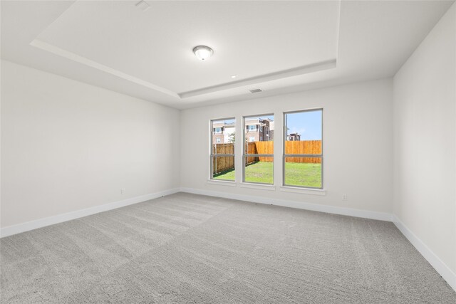 unfurnished room featuring a raised ceiling and carpet flooring