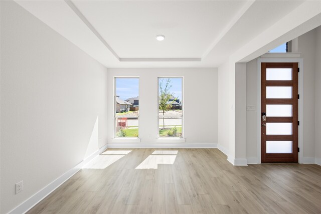 foyer with a raised ceiling and light hardwood / wood-style flooring