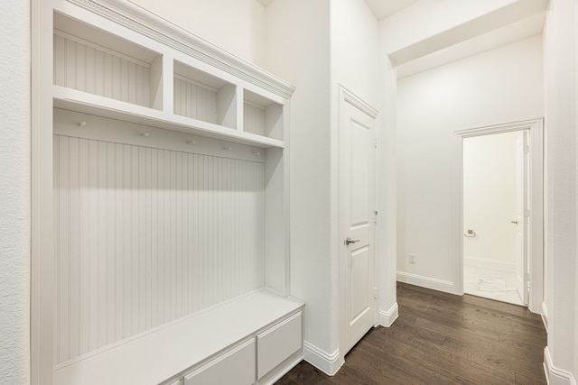 mudroom featuring dark hardwood / wood-style floors