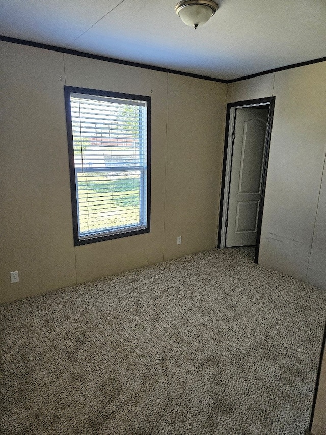 unfurnished bedroom featuring ornamental molding and carpet