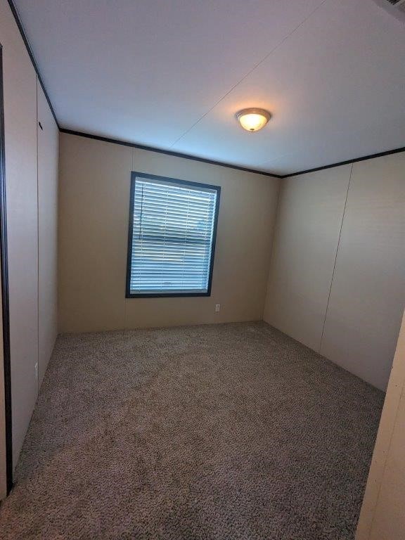 unfurnished room with carpet flooring