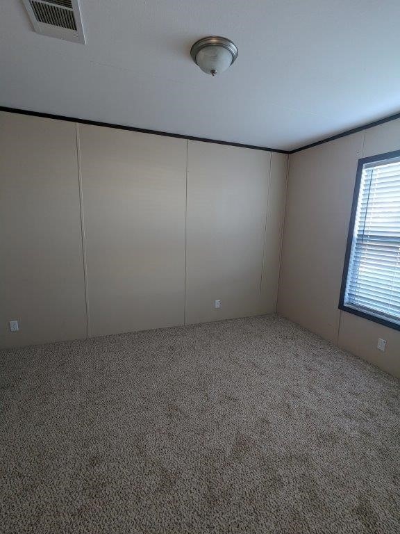 unfurnished room with carpet flooring