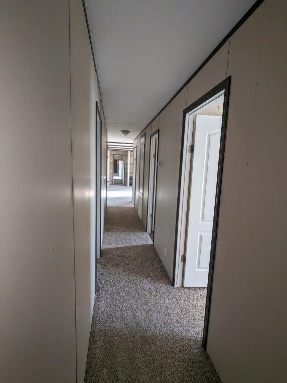 hallway featuring carpet floors