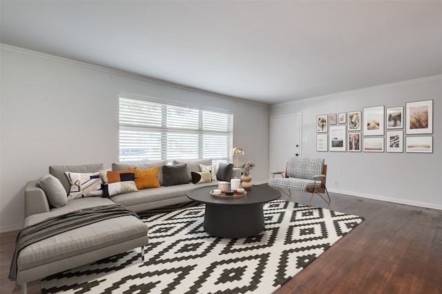 living room with wood-type flooring and crown molding