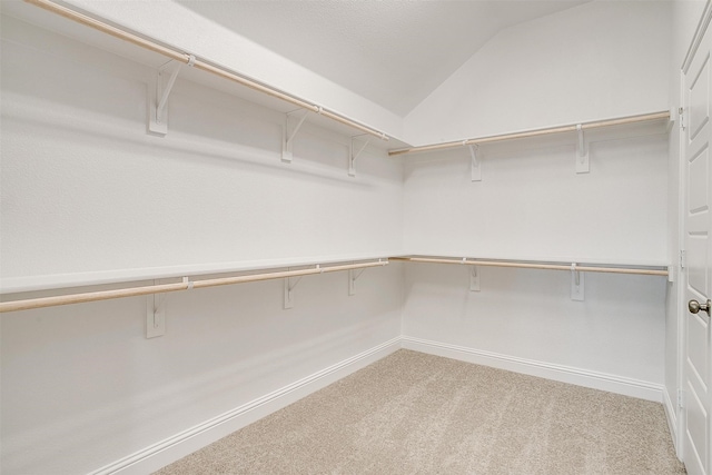 spacious closet with carpet flooring and vaulted ceiling