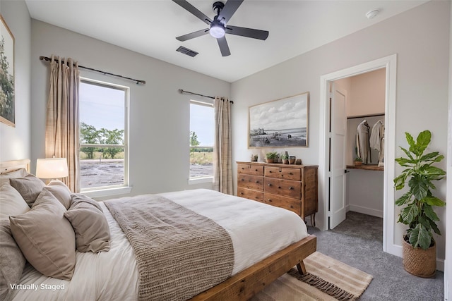 carpeted bedroom featuring a walk in closet, ceiling fan, and a closet