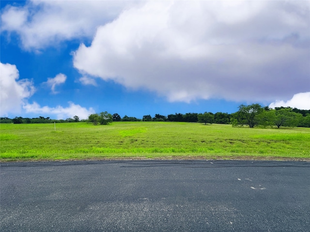 Listing photo 2 for LOT134 Lake Vista Dr, Streetman TX 75859