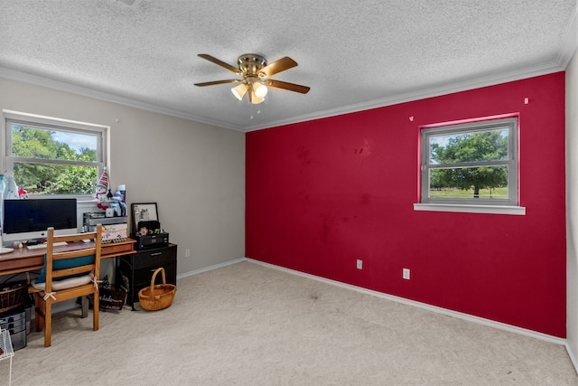 carpeted office space featuring ceiling fan, plenty of natural light, ornamental molding, and a textured ceiling