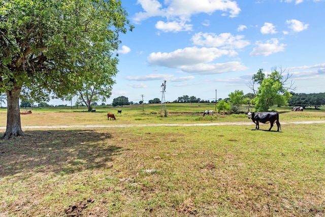 view of yard with a rural view