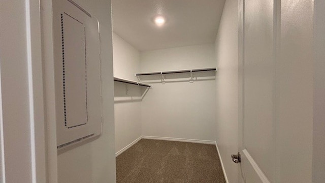 walk in closet with carpet