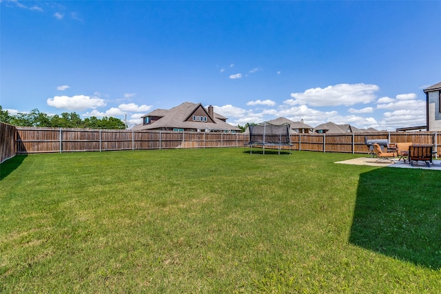 6220 Creekhaven Dr, Mesquite, TX 75181 - fenced backyard with a patio and a trampoline