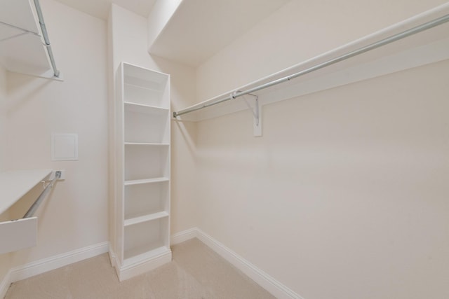 spacious closet with carpet