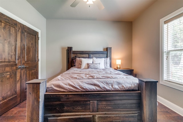 bedroom featuring ceiling fan and dark hardwood / wood-style flooring