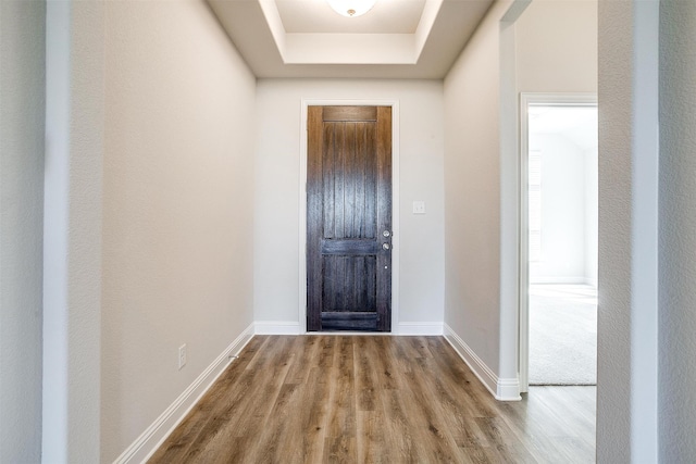 entryway with a raised ceiling and wood-type flooring