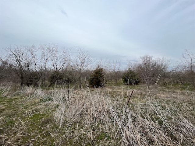 Listing photo 2 for TBD Norman Rd, Waxahachie TX 75165